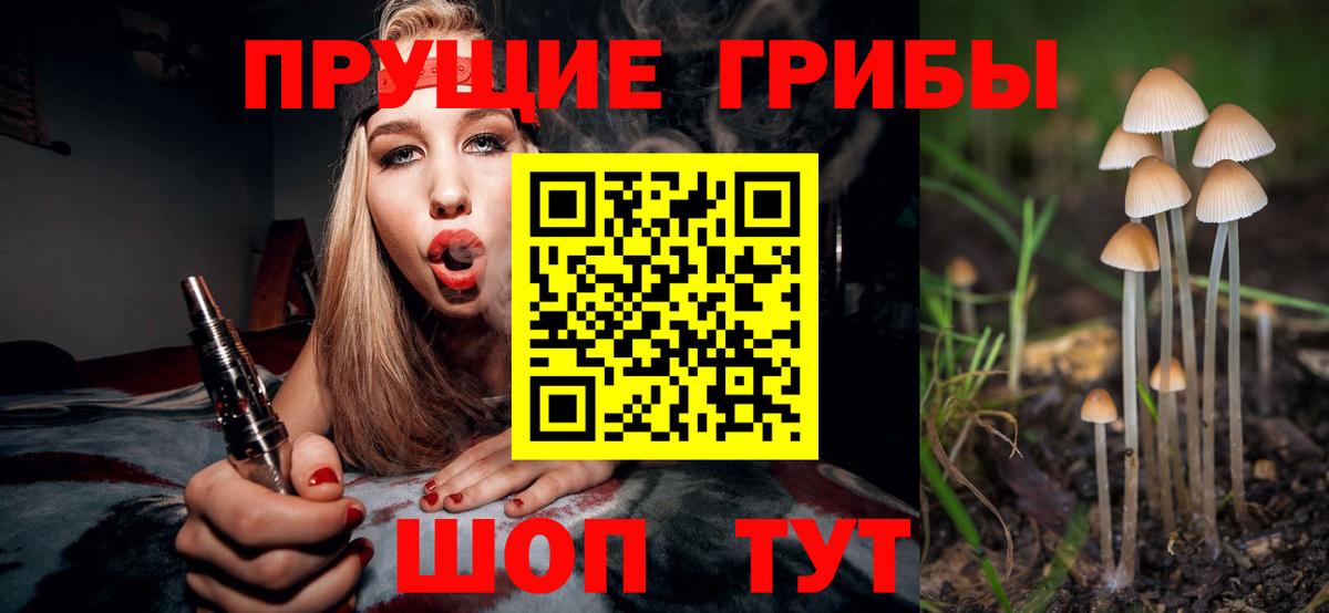 Лесосибирск  Псилоцибиновые грибы ЛСД  Вход с VPN 